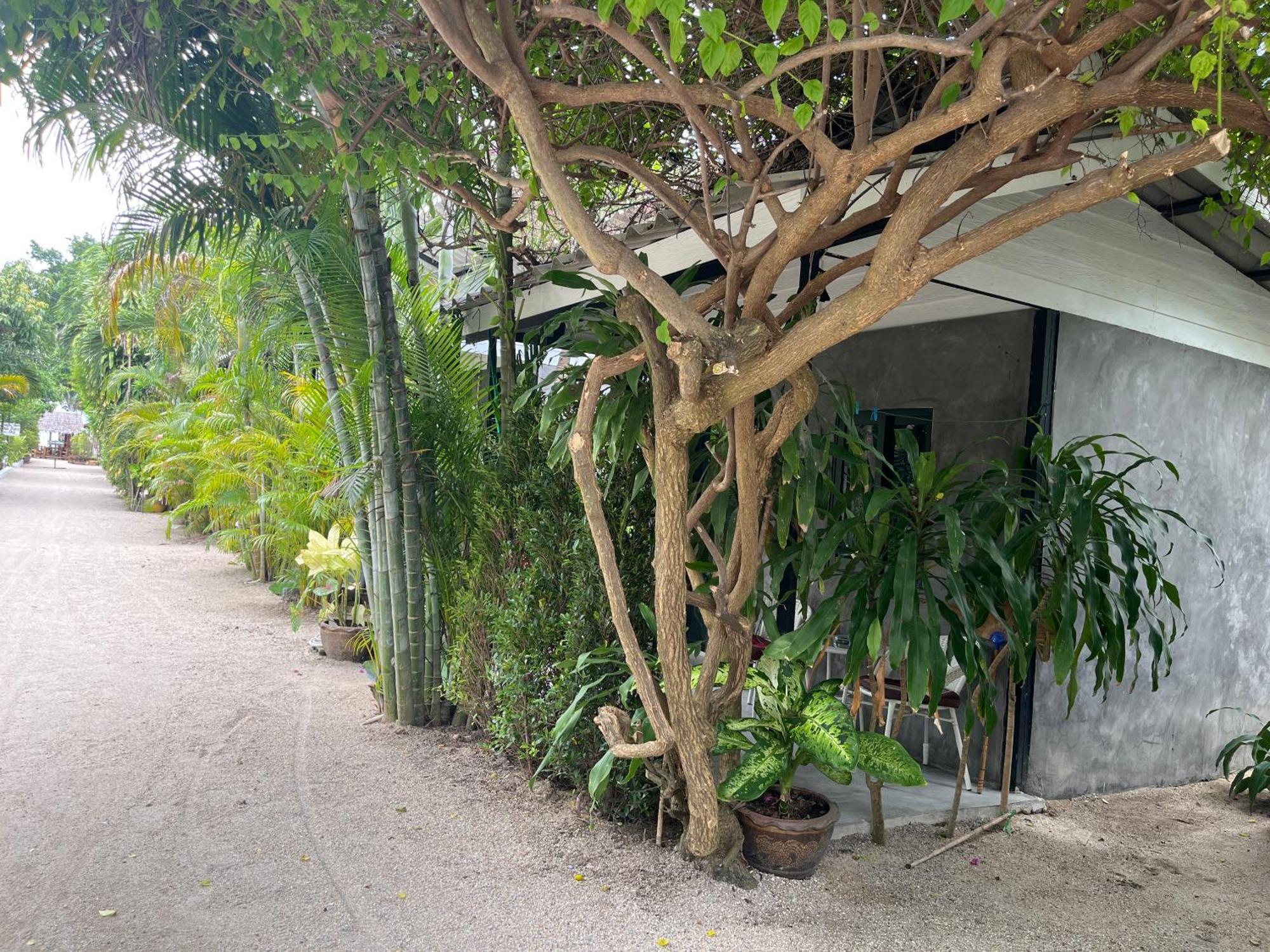 帕岸岛米卡萨海滩山林小屋 外观 照片