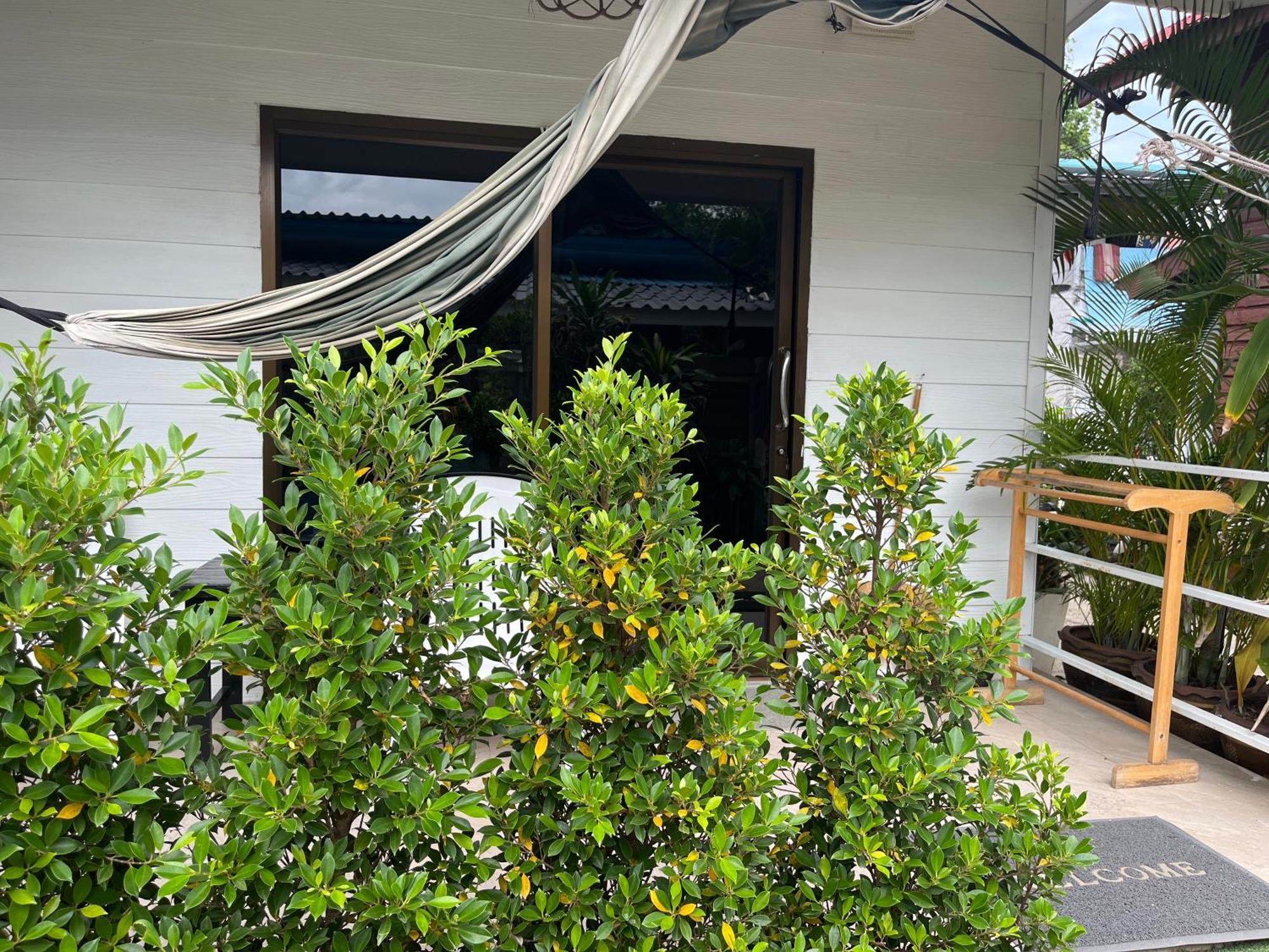 帕岸岛米卡萨海滩山林小屋 外观 照片