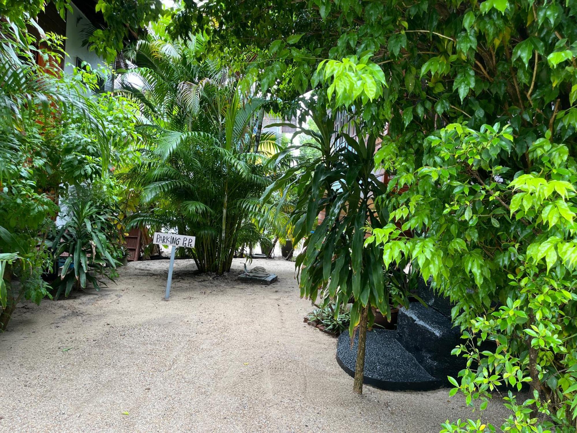 帕岸岛米卡萨海滩山林小屋 外观 照片